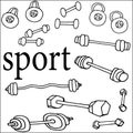 Sports eq,sports, tools for doing sports, dumbbells, barbells, kettlebells, strength training, swing the body, illustration